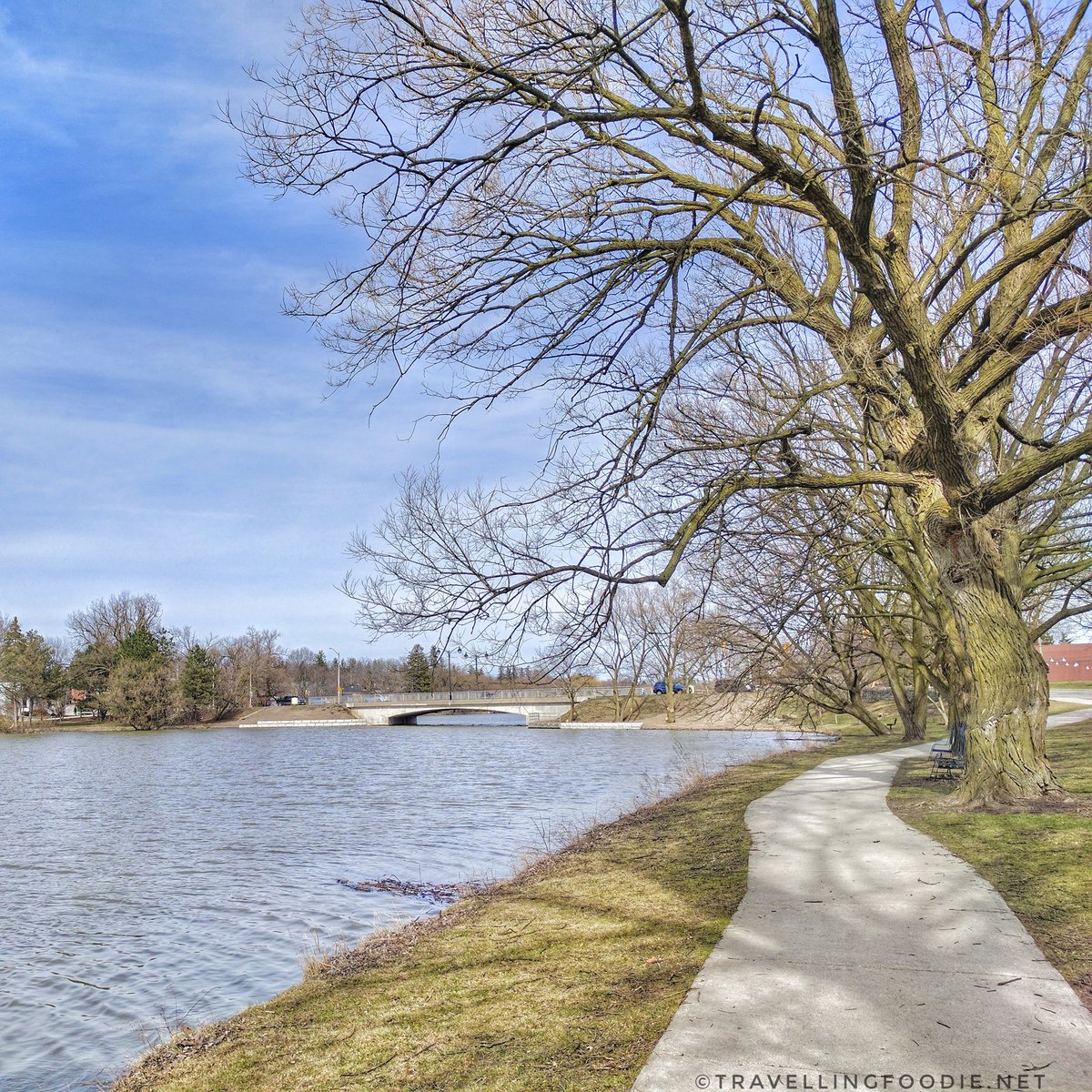 Avon River: View facing east