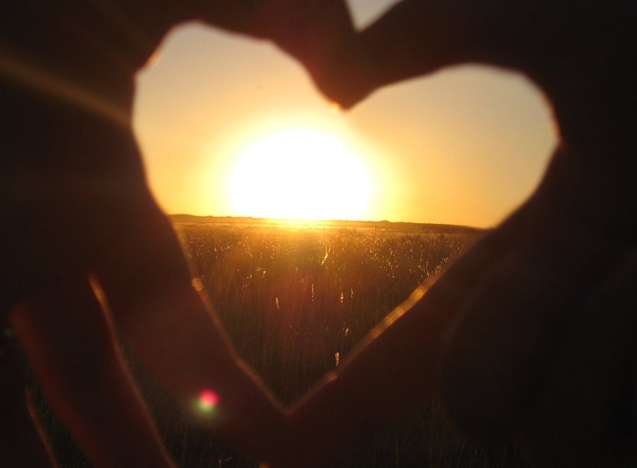 kSimonSays2's tweet photo. #PictureAWorldWhere people are addicted to peace and love instead of hate and violence...#woundedworld #LoveHeals https://t.co/tSi7UrToQW
