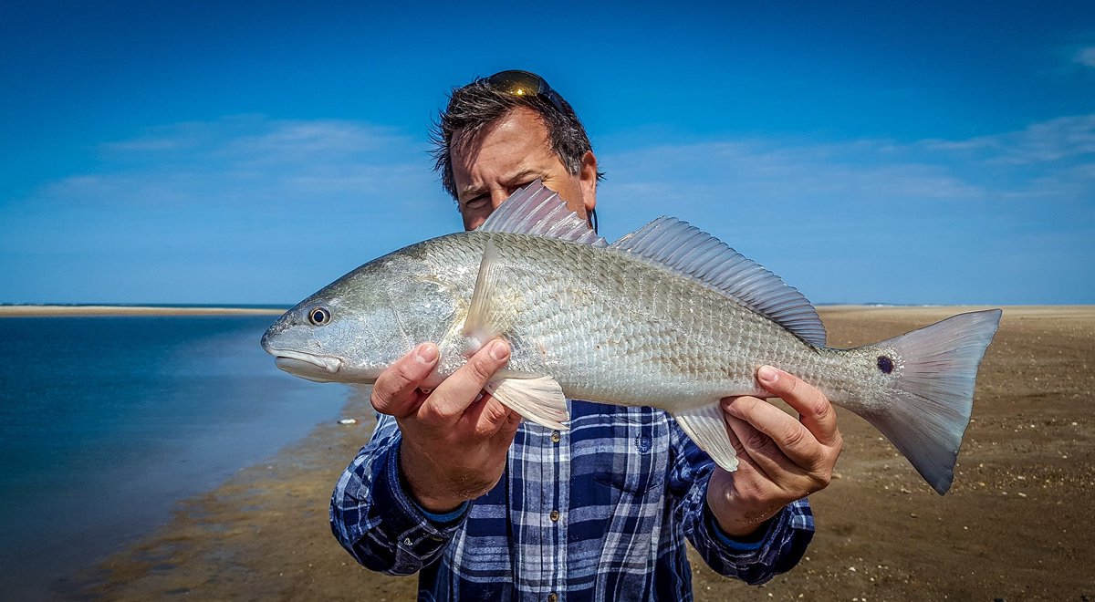 MauserFlyFish's tweet image. Truth be told, we're just a bunch of fly fishing beach bums who are blessed to live in one of the most beautiful places in the world.