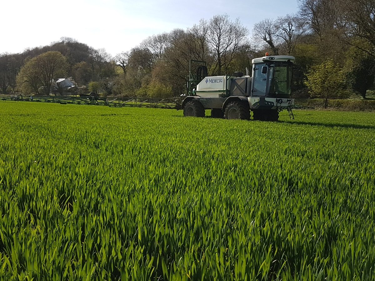 ashackell's tweet photo. T0 on KWS Lili looking good 😀 https://t.co/syyAP5xOtf