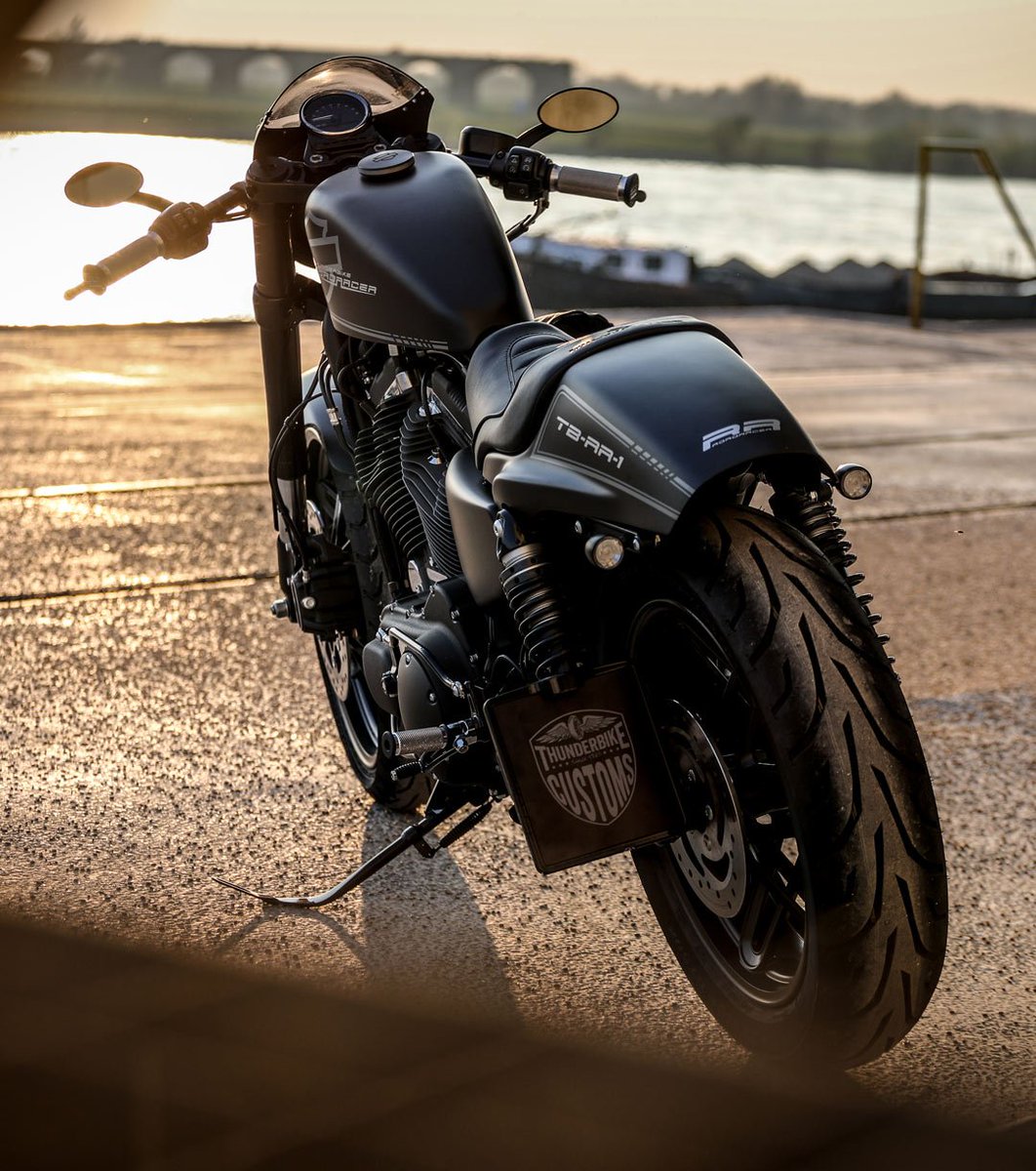 sportster roadster custom