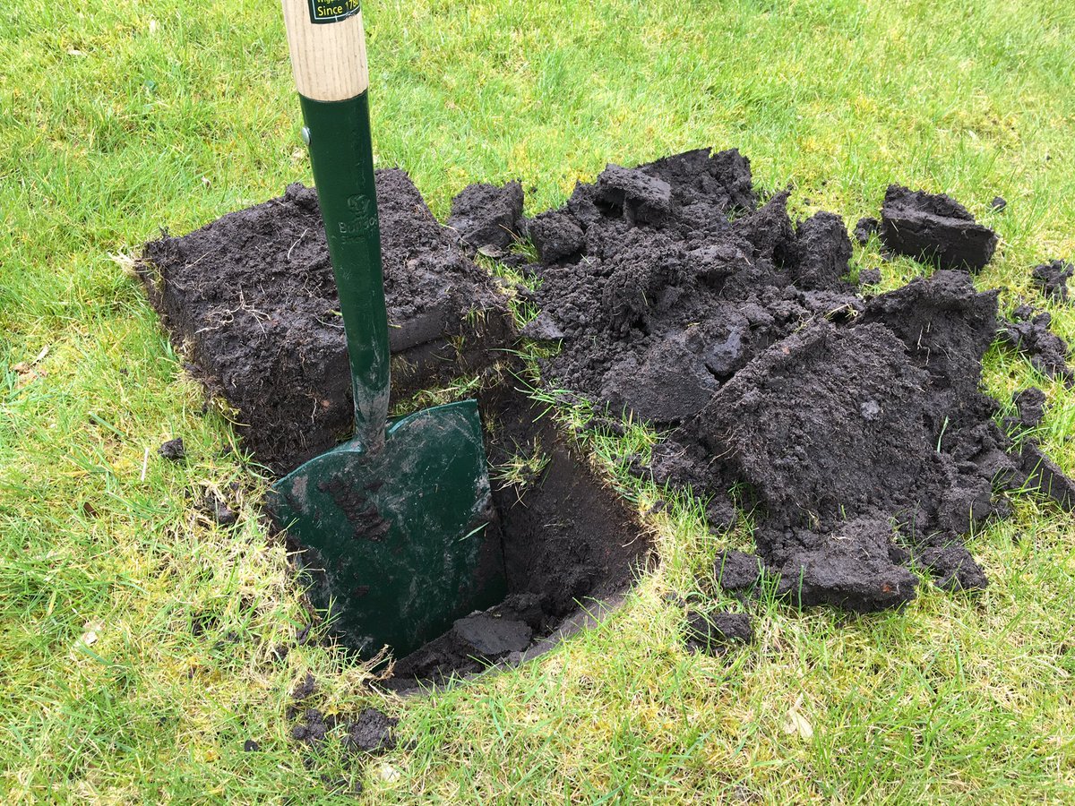 RPDRural's tweet photo. Lots of site visits this week the same problems at a private lawn and a 50 acre field compaction and inefficient drainage #variedwork 😊 https://t.co/RNHfMHOHGQ
