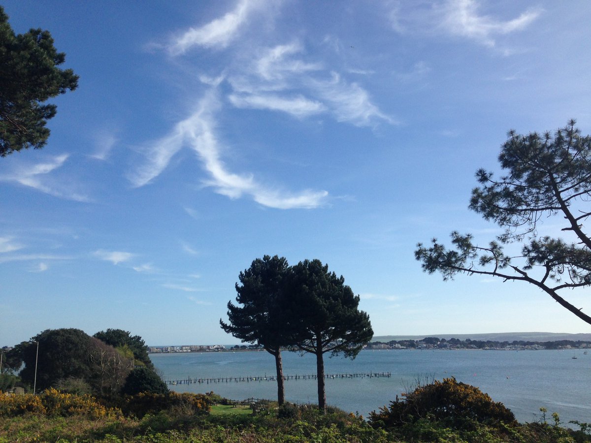 MadmuleFitness's tweet image. What a cracking day @BoroughofPoole #eveninghill #springorsummer