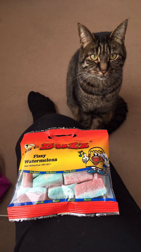 carlie_78's tweet photo. I've got my daughter her fave treat for when she gets home ❤️ the cat look quite jealous lol @BuzzSweets #cats #buzzsweets #fizzywatermelon https://t.co/ckWFCZti0g