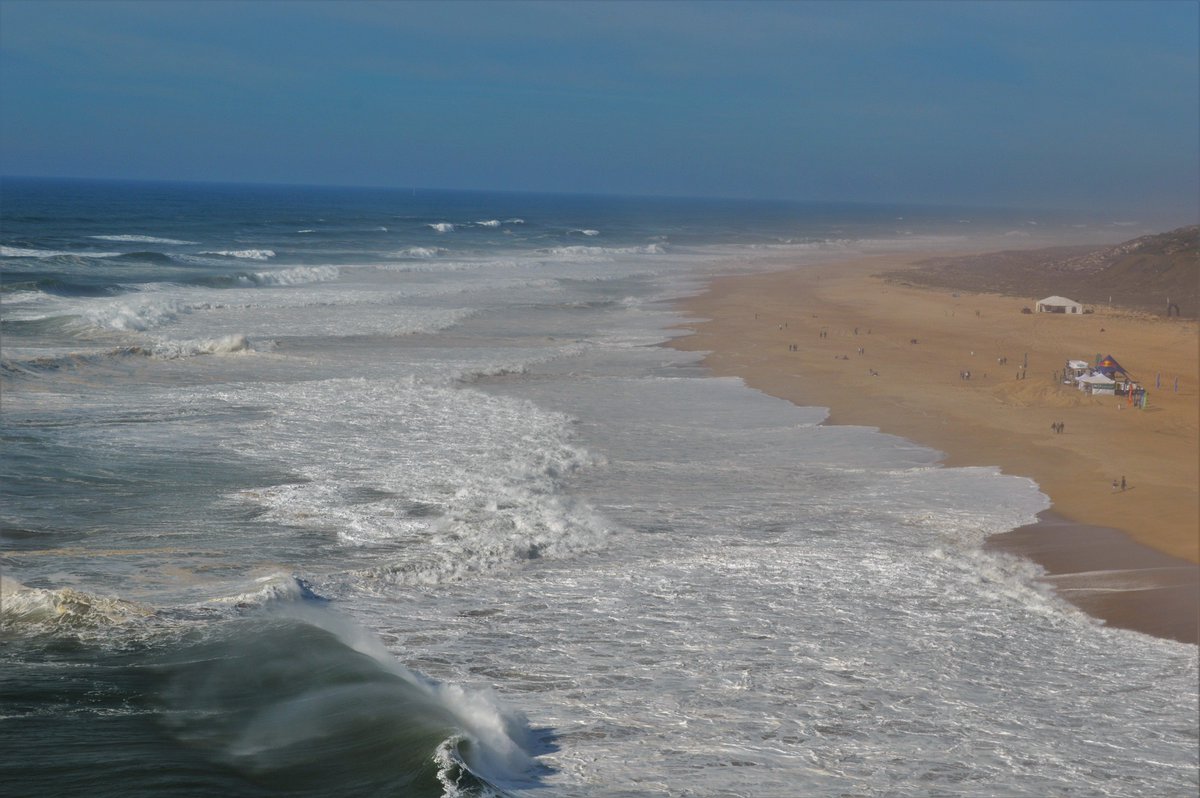 Gonazare tweet media