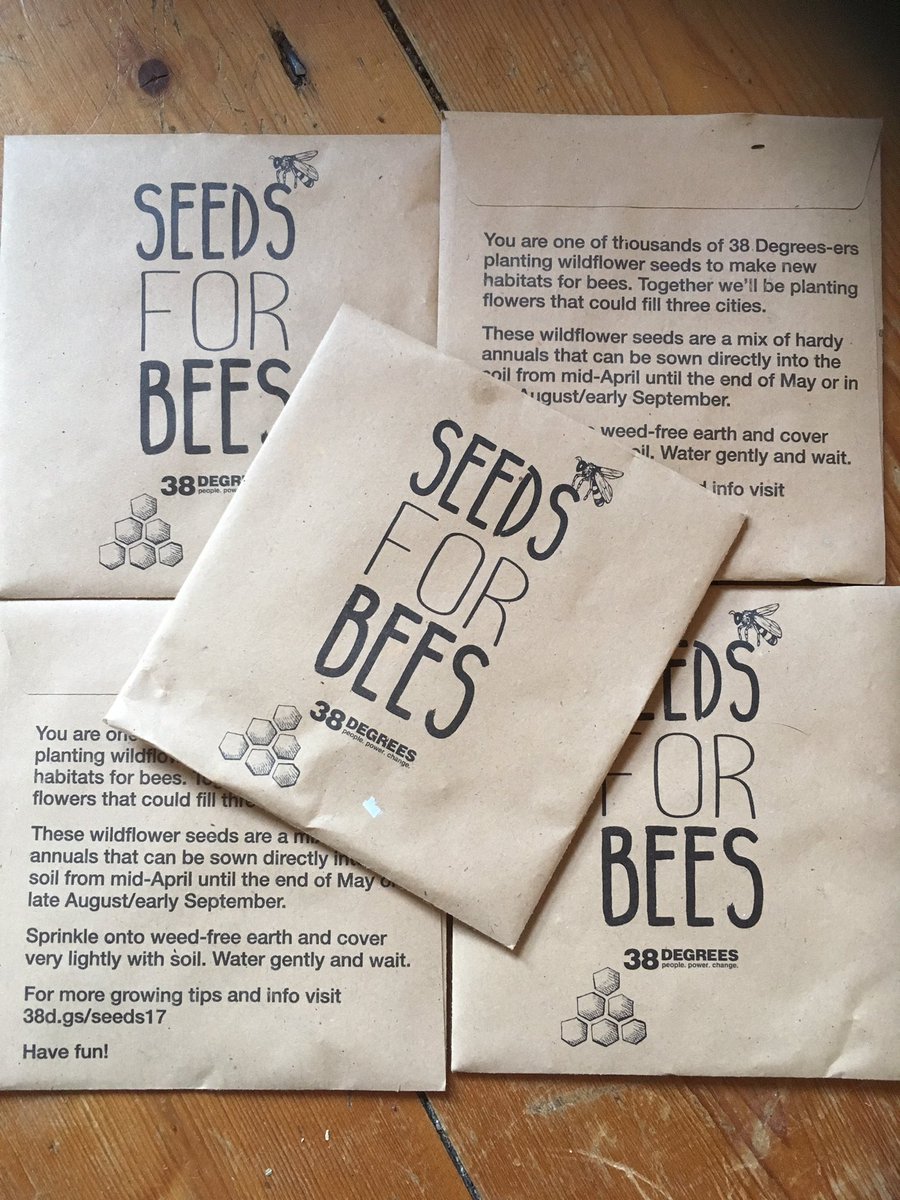 cr8ivecalverley's tweet image. Have a ltd supply of "seeds for bees" 🐝 If anyone in Calverley would a pack, please DM. Plant from mid Apr until end of May. Thx @38_degrees
