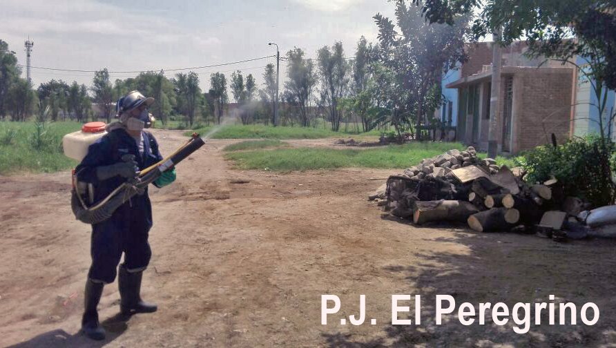 munichiclayo's tweet photo. Nuestra jornada de fumigación inició en los pueblos jóvenes El Molinito y El Peregrino  #MPCH https://t.co/0ZC5A0IVdc