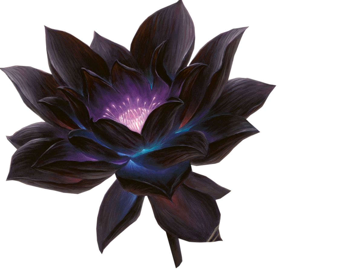 ヤバイアサンnox Pa Twitter Mtg透過素材 ブラックロータス Mo版