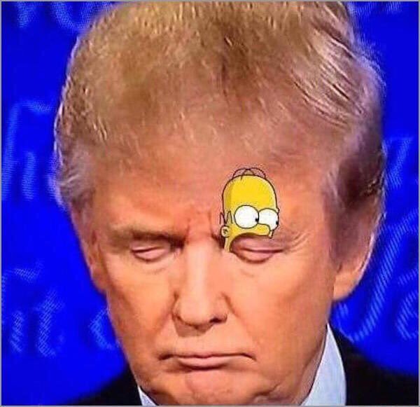SpeakComedy's tweet photo. I have laughed so hard at this over the last 10 minutes https://t.co/uDE25NeKBp