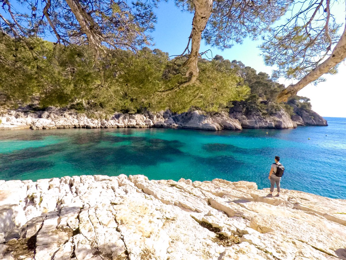 Morin Frédéric tweet media