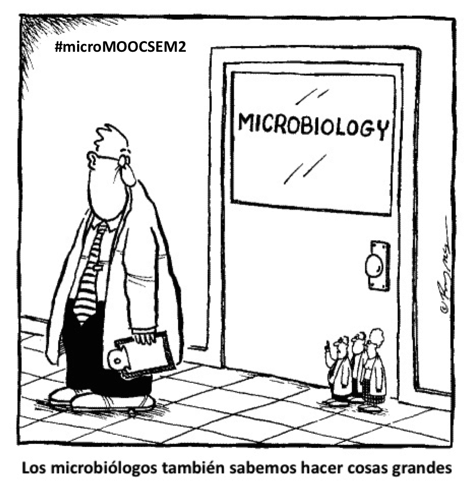 SEMicrobiologia's tweet photo. Si, ya está, se acabó el curso #microMOOCSEM2. Quizá volvamos dentro de unos meses con más sorpresas. MUCHAS GRACIAS POR ESTAR AHÍ https://t.co/bW2bRoRGt7