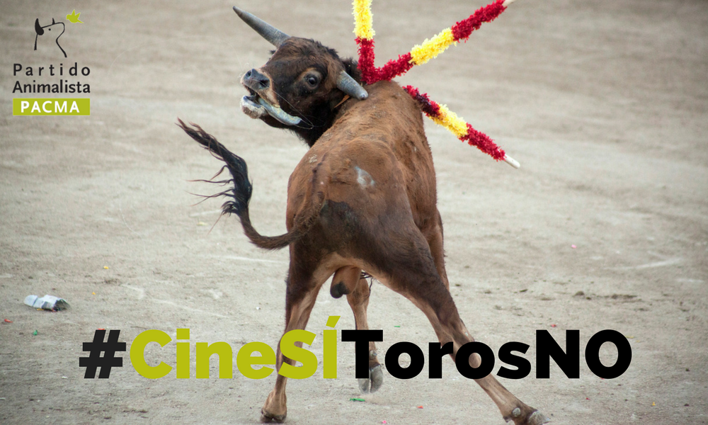 PartidoPACMA's tweet photo. Solo quedan 48h! Queremos llegar a las 100.000 firmas! apoya #CineSíTorosNO. Estamos muy muy cerca! FIRMA AHORA  👉 https://t.co/5z4ursLJtt https://t.co/rWChzkpu9s