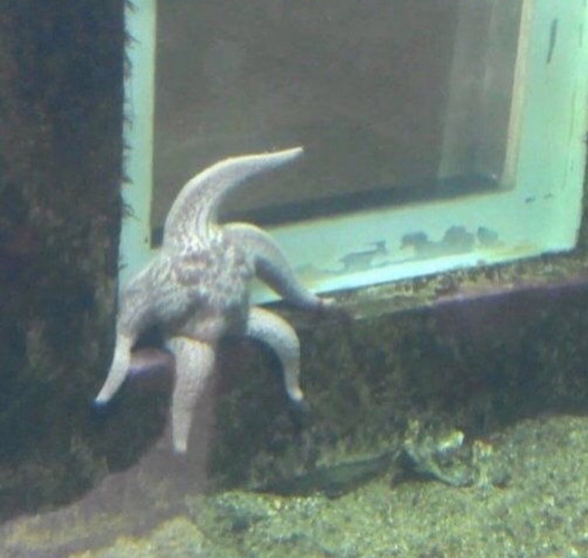 Sadieisonfire's tweet image. Green Day - Boulevard of Broken Dreams