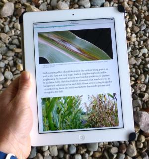 ISU Crop News tweet media