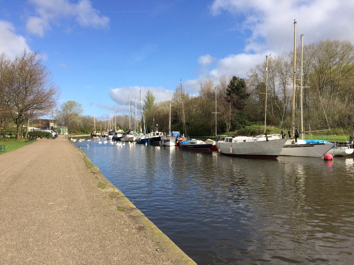 Diane Richardson tweet media