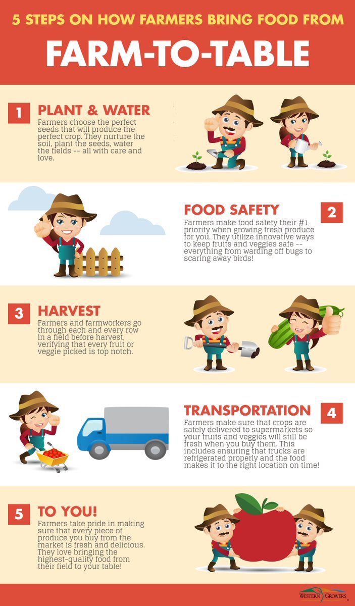 Food safety 101 - The journey of food safety from farm to table 
