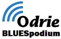 BLUESpodium op de lokale omroep Odrie 21.00uur met de cd van de maand de Brinklz ....How do you like my Hairdo ...ook op omroepodrie.nl