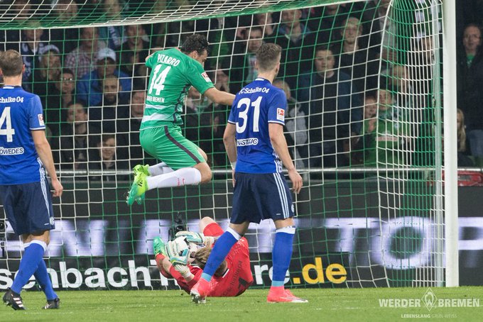 Ver imagen en Twitter