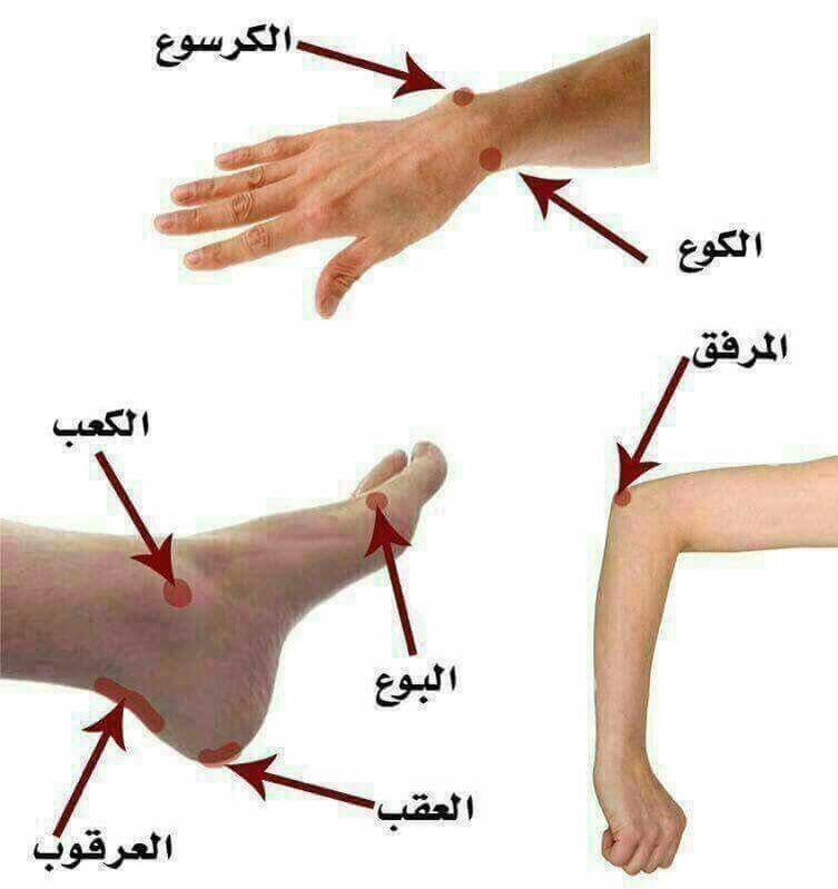 steven_vanden's tweet photo. بعض التسميات المهمة في أجسادنا .. https://t.co/EZgHQ6kzL2
