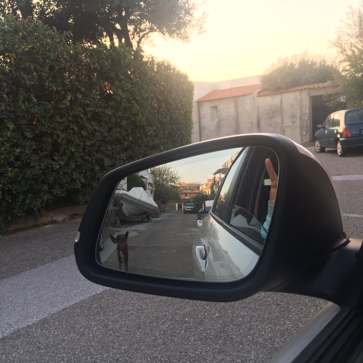 CarlottaModel's tweet photo. Love 🐾❤️🐾 homeless #dogs 🐾❤️🐾 #positive #Karma https://t.co/1v7J6w12Ww
