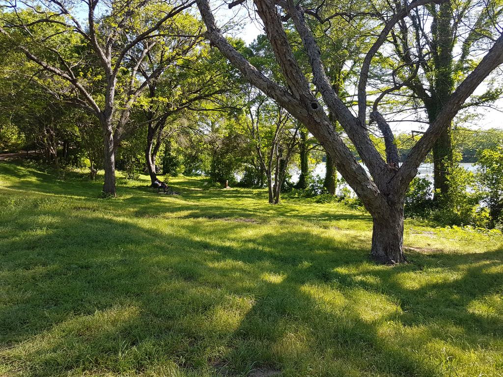 WendyHoglund's tweet image. Nothing like late afternoon run along Lady Bird Lake while in Austin for #srcd2017 🌞