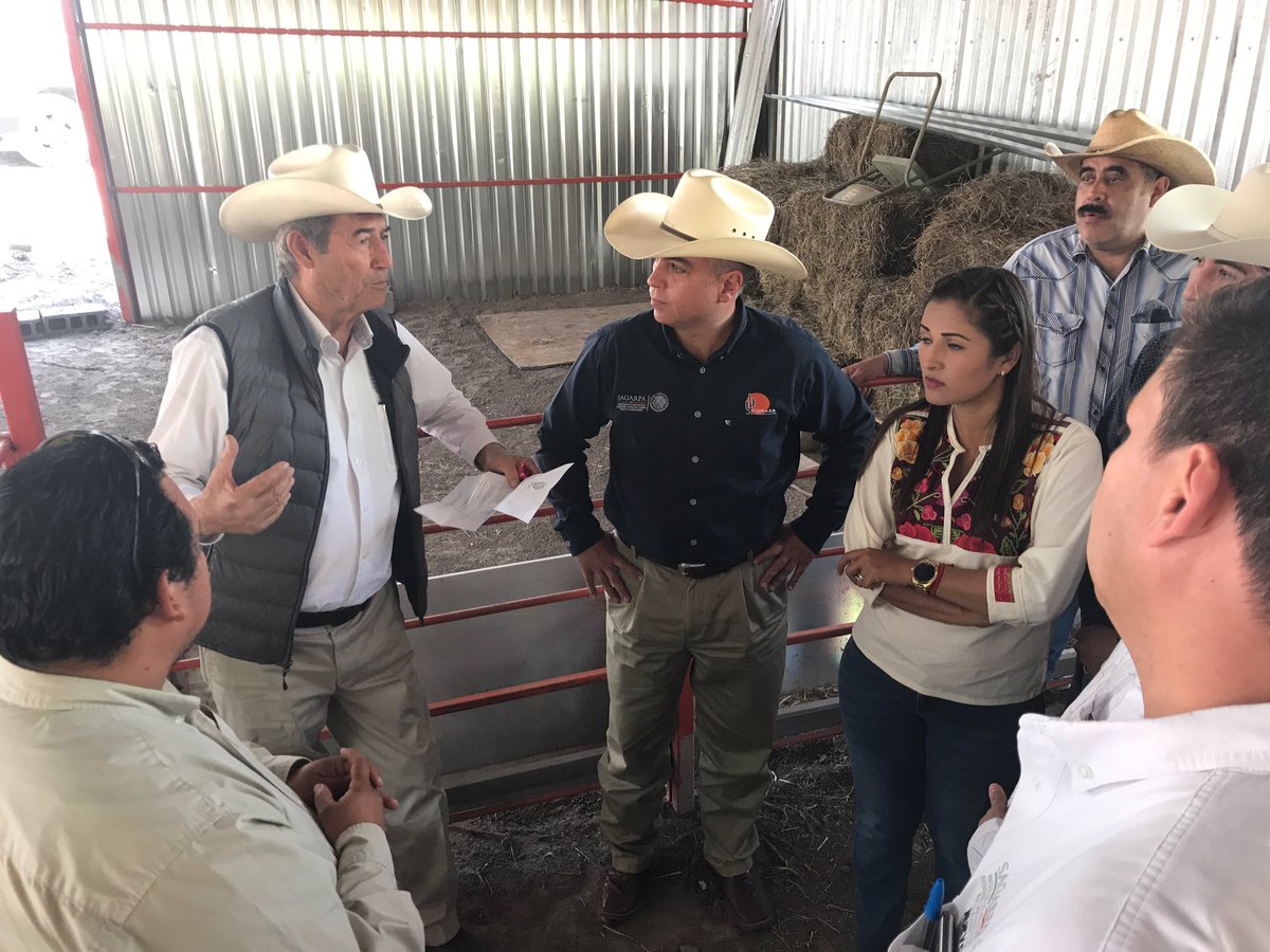 ANeira_V's tweet photo. Inauguramos infraestructura Caprina en Comunidades de #Galeana #Nuevoleon. Proyecto Transversal, Dependencias @EPN #coordinandoesfuerzos https://t.co/QEmU9AWqRP