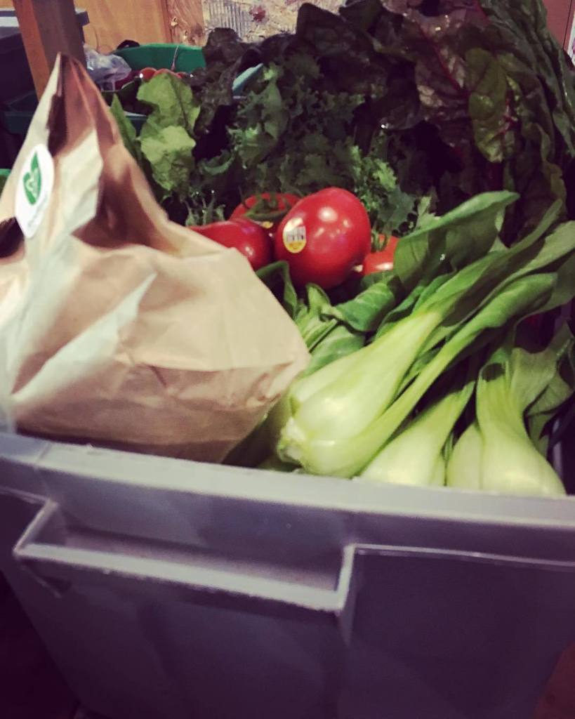 leeandmarias's tweet image. When your bins so full we can't get a lid on it😂😂😂 #binproblems #locavores #fieldtofork #fresh #farmers #yqgfood #… bit.ly/2oF1Omx