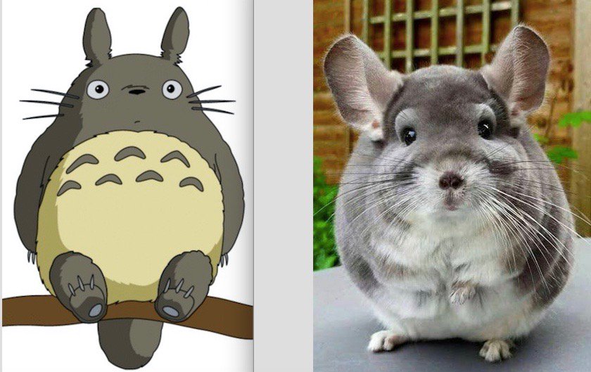 Nnedi Okorafor, PhD🕷️ tweet media