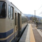 春がきた!ふきのとうを眺めるほのぼのする乗務員さんの後ろ姿w