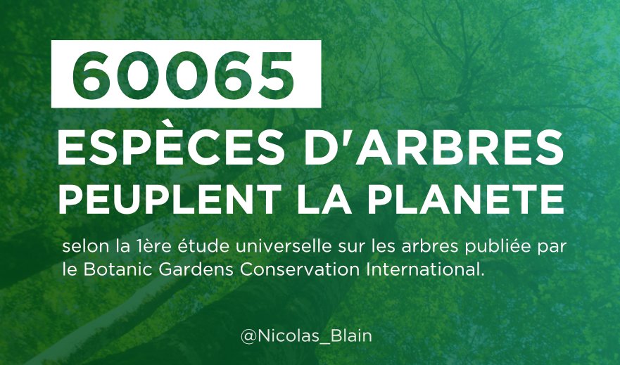 Découverte : la #planète abrite plus de 60.000 espèces d'#arbres selon une étude parue ajd afp.com/fr/infos/336/e… #forêt #biodiversité #CO2