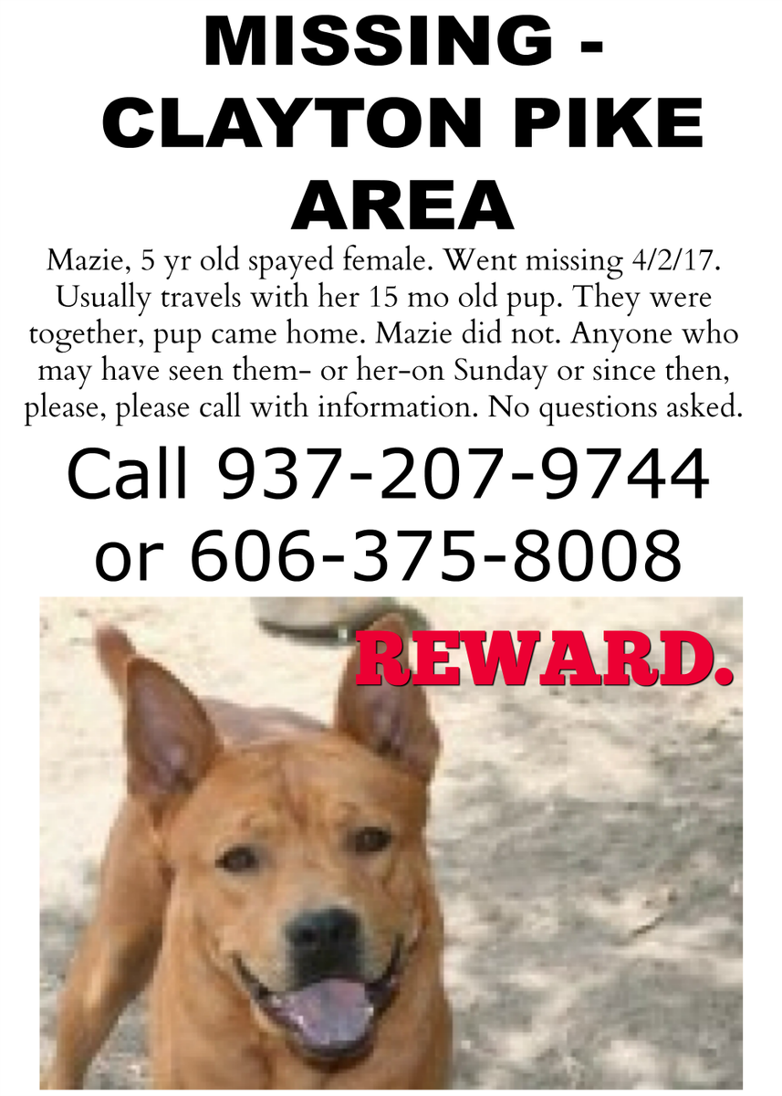 #RT #lostdog #AdamsCountyOhio
Missing, 5 yr old female Carolina Dog. Reddish brown coat. Missing 4/2/17 Adams Cty OH.