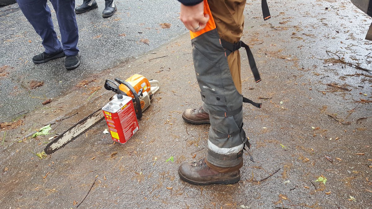 Fox5Juan's tweet photo. Safety 1st when getting ready to cut some trees,  @waltoncountyga. Watch @ChristyReport on #fox5atl for all your local news. https://t.co/QloHi7feLx