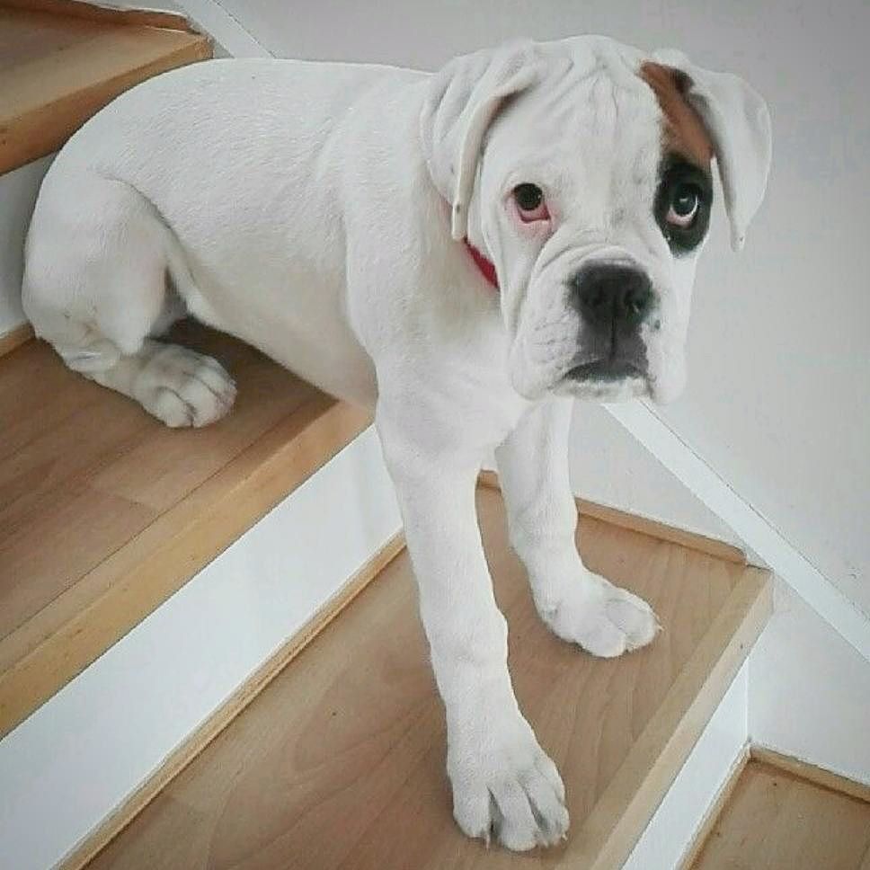 elminde's tweet image. bit.ly/2oCWQqF