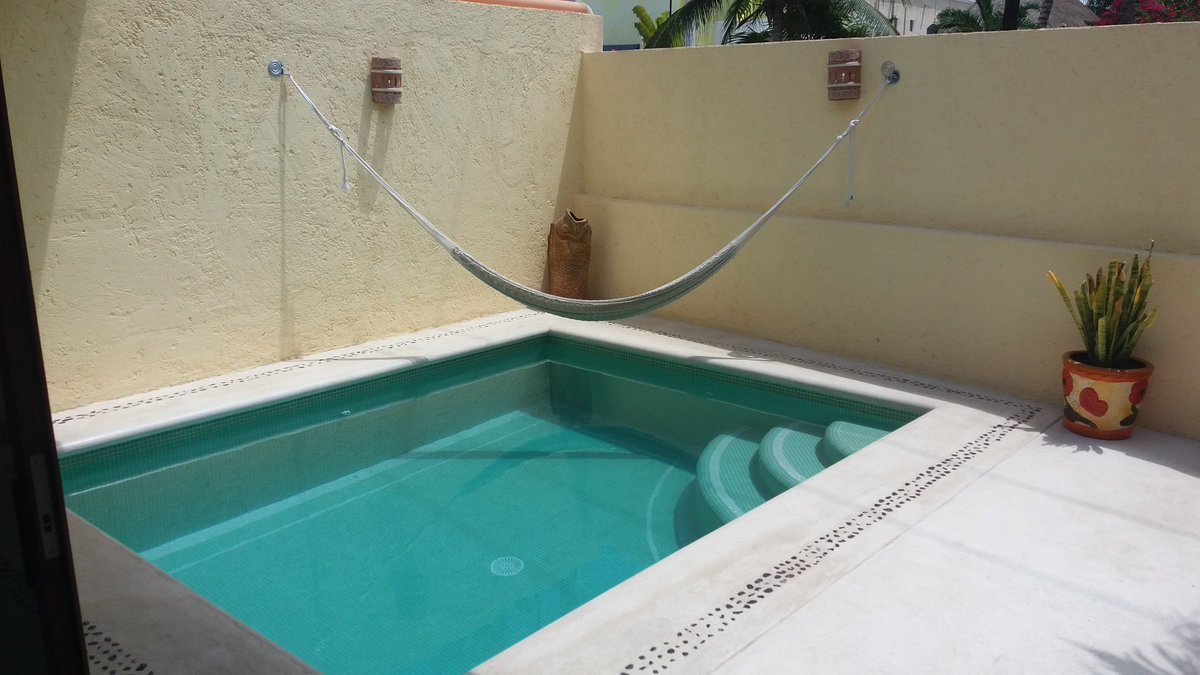 emily verdeyen tweet media