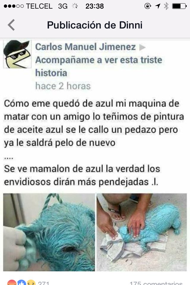 pildorin's tweet photo. #NoNosVamosACallar queremos justicia, no impunidad. @GobiernoMichoacan @MichoacanPGJ https://t.co/9HAuMZTwAg
