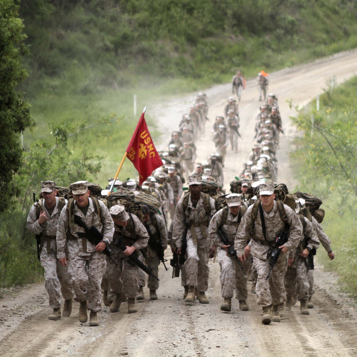 It's #NationalWalkingDay go take a hike!