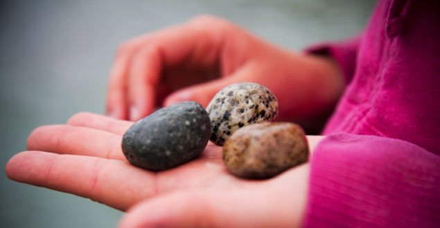ReadingRockets's tweet image. On #NationalWalkingDay take kids outside on a #poetry walk to collect observations about nature ow.ly/eCcd30aBjOW #STEM