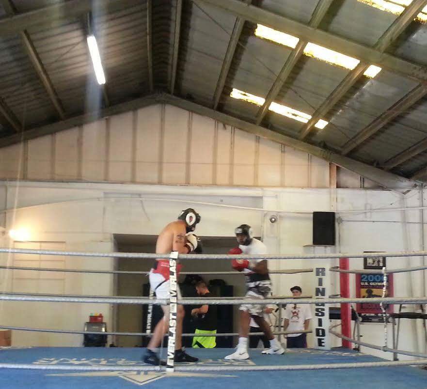 ryanhopperadio's tweet photo. Check out #MainEventBoxing
2575 28th Avenue North in St Pete,
& call them at 727-564-3948.
Tell them I sent you for a great deal. https://t.co/l6iacck2tS