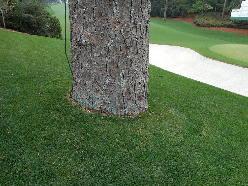GCIMagazineGuy's tweet photo. The intricacies you notice when looking downward during parts of your first walk around #AugustaNational. https://t.co/91O27AyX8d