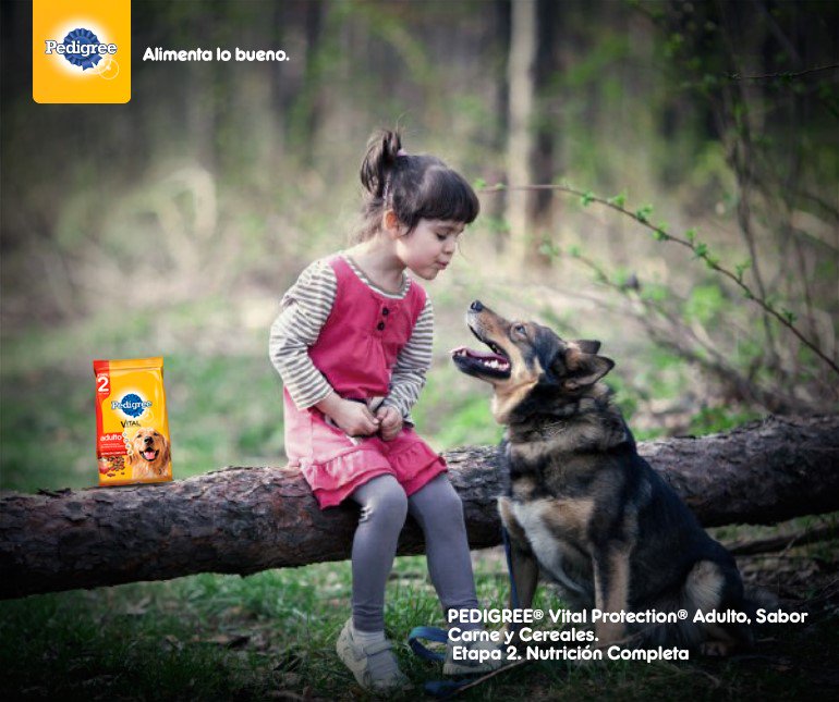 Porque la etapa de adulto es la más larga de la vida de tu perro, sigan creando nuevos momentos junto a PEDIGREE® por muchos años más ☺ 💕