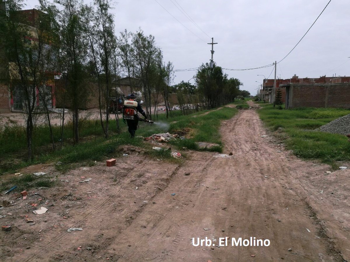 munichiclayo's tweet photo. FUMIGACIÓN. Hoy también atendimos a  la Urb. El Molino y en el complejo deportivo “Augusto Bernal Ramírez” (Piscina Municipal de Chiclayo) https://t.co/EibWrZdKr3