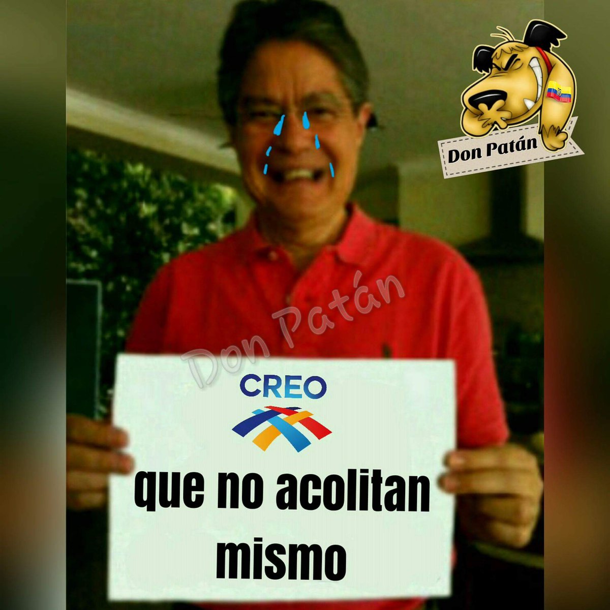 mauricano3's tweet photo. @LassoGuillermo perdiste viejo mama Verga cara de sapo https://t.co/jq66f5IPwm