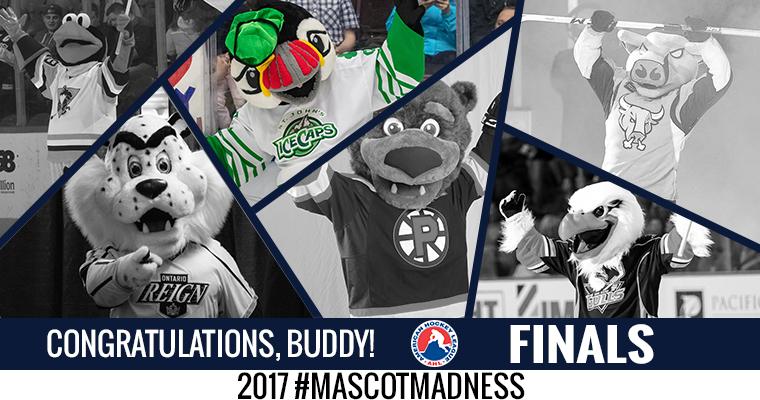 FriendCeej's tweet image. Buddy wins! Congratulations @IceCapsBuddy, this year's AHL #MascotMadness champion! - sot.ag/66bc4