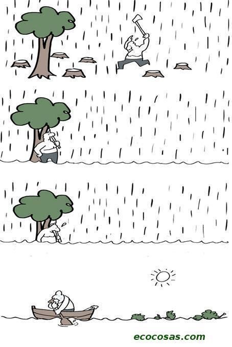 Ecogranjero's tweet photo. La estupidez humana no tiene límites https://t.co/A1rwsPy0hQ