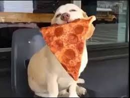 _momentarypaws's tweet photo. What is a #dog’s favorite pizza? PUP-eroni! #jokes #wackywednesday #nationaldeepdishpizzaday https://t.co/qbEVx5Hs3O