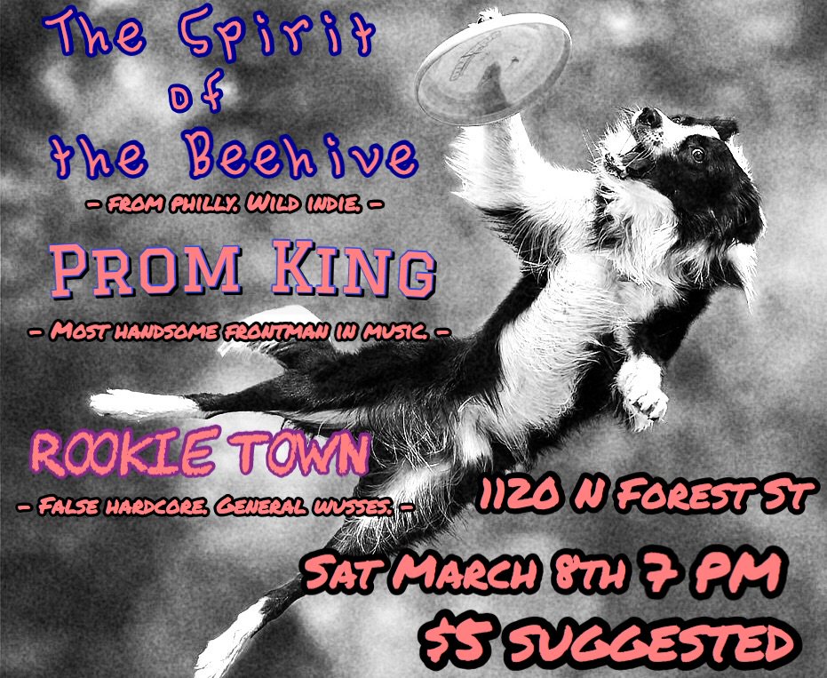 Bellingham house show.