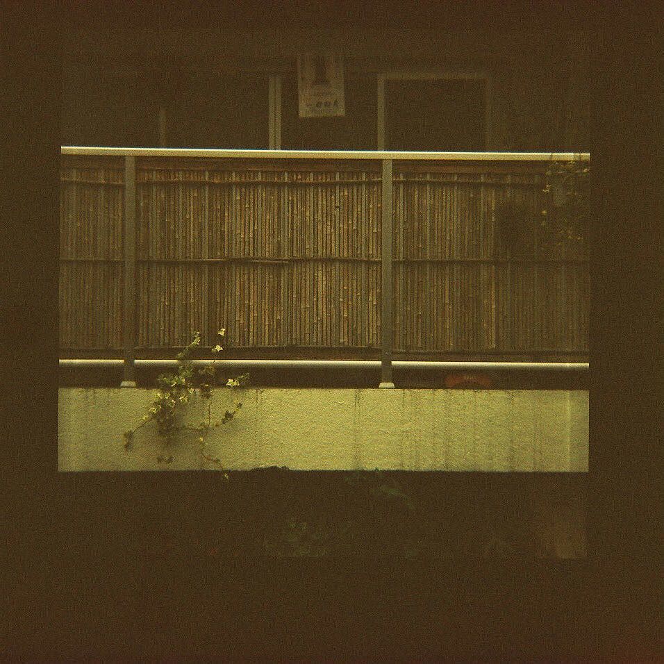 sakaimami's tweet photo. 誰のためのカレンダー? .
#dianaf #dianafplus #Lomography #lomo #filmphotography #フィルム #リバーサルフィルム #ポジフィルム #期限切れフィルム #crosspro… https://t.co/wkq0IXo2jC https://t.co/qVCmTeyTeq