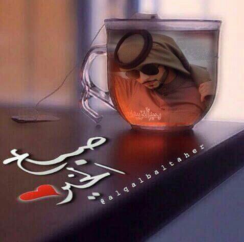 abooolaian511 tweet picture