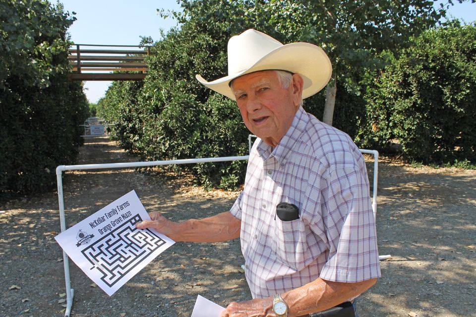 CitrusStrong's tweet photo. Citrus grower Bob McKellar gives an up close and personal look at citrus farming in a recent blog post by @cagrownofficial. Check it out! https://t.co/67lyHCgk9G