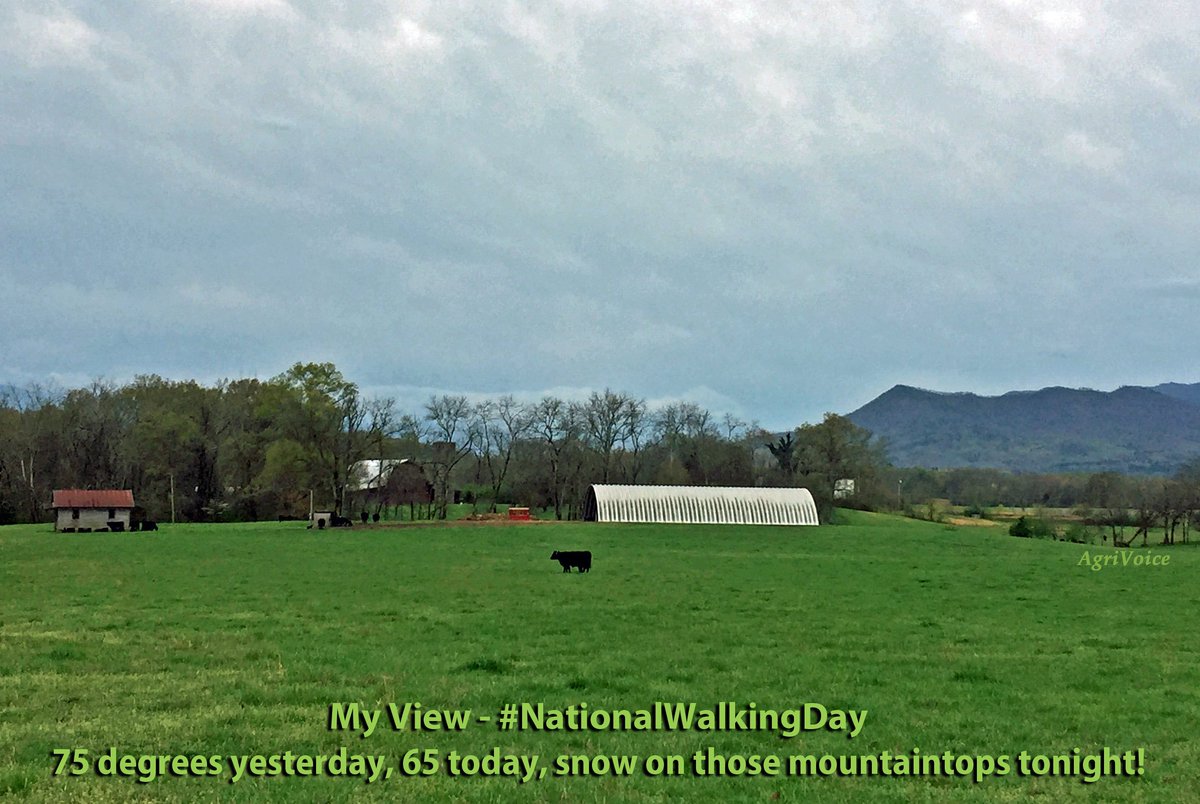 foodsheds's tweet photo. "There's a storm across the valley, clouds are rollin' in!" #NationalWalkingDay, and everyday! Before #SEStorms 2day. #FarmLifeForever! https://t.co/wOKGSEWfZ8
